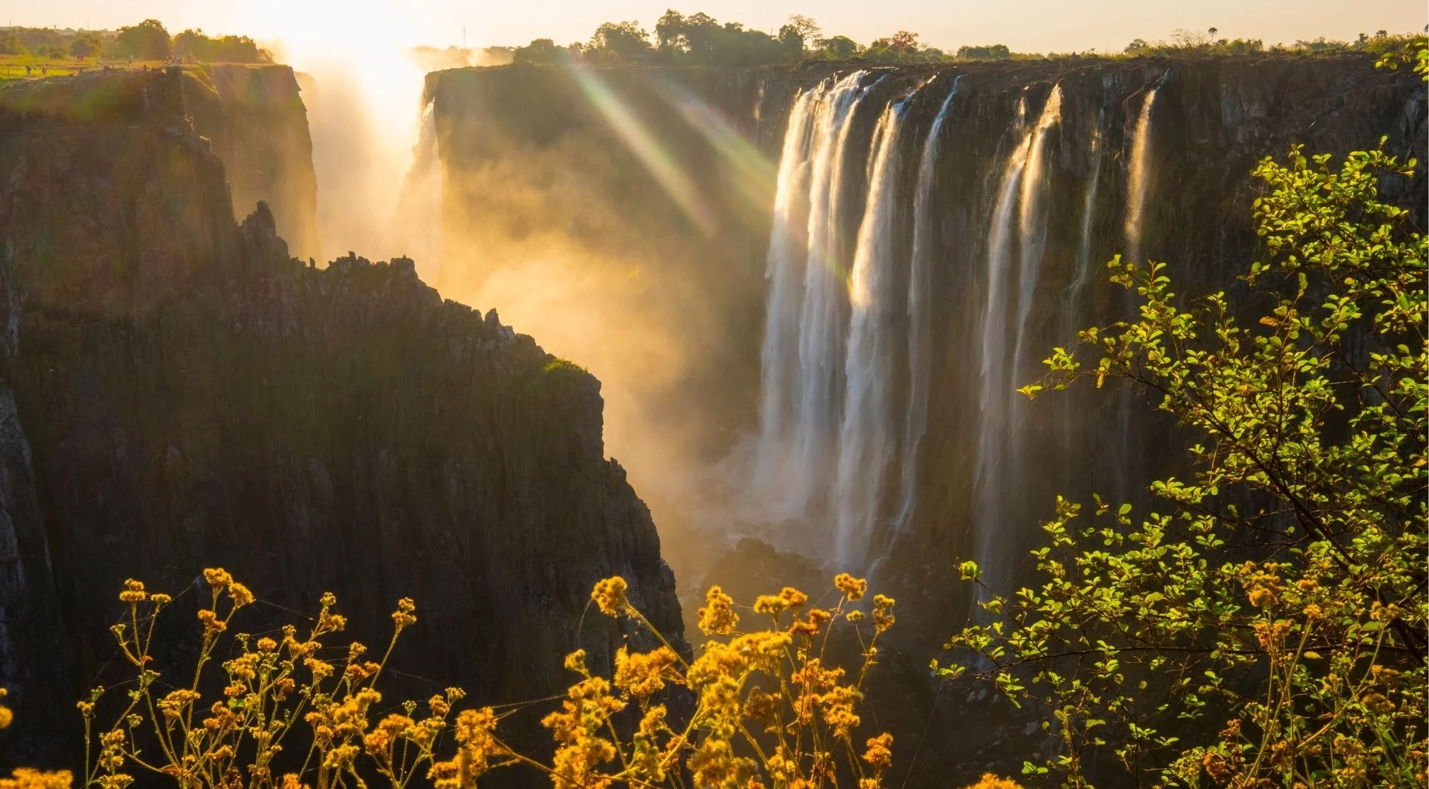 Victoria Falls at golden hour with yellow wildflowers in the foreground and sunrays breaking through the gorge mist
